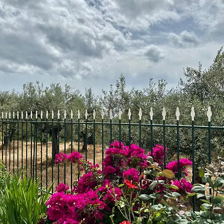 Ansolive Retreats Kalamata