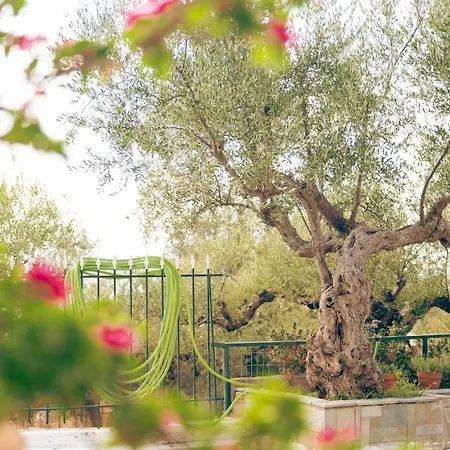 Daire Ansolive Retreats