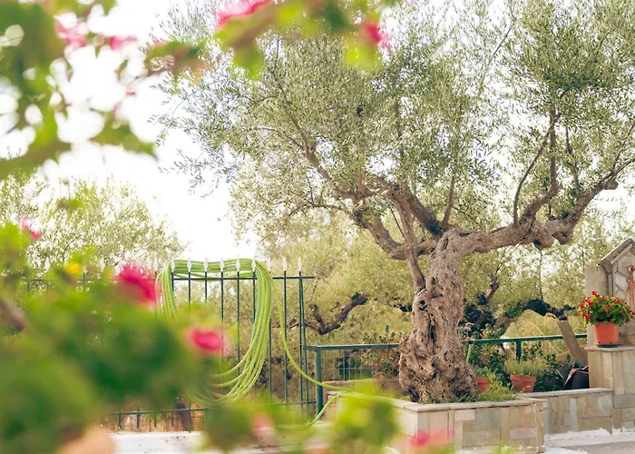 Apartment Ansolive Retreats